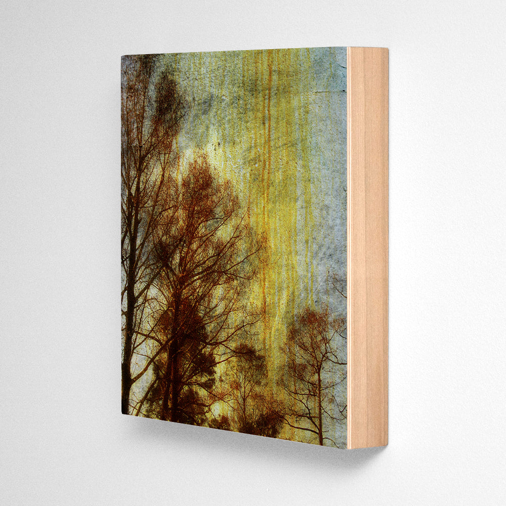 Drippy Trees Photograph Art Block or Box