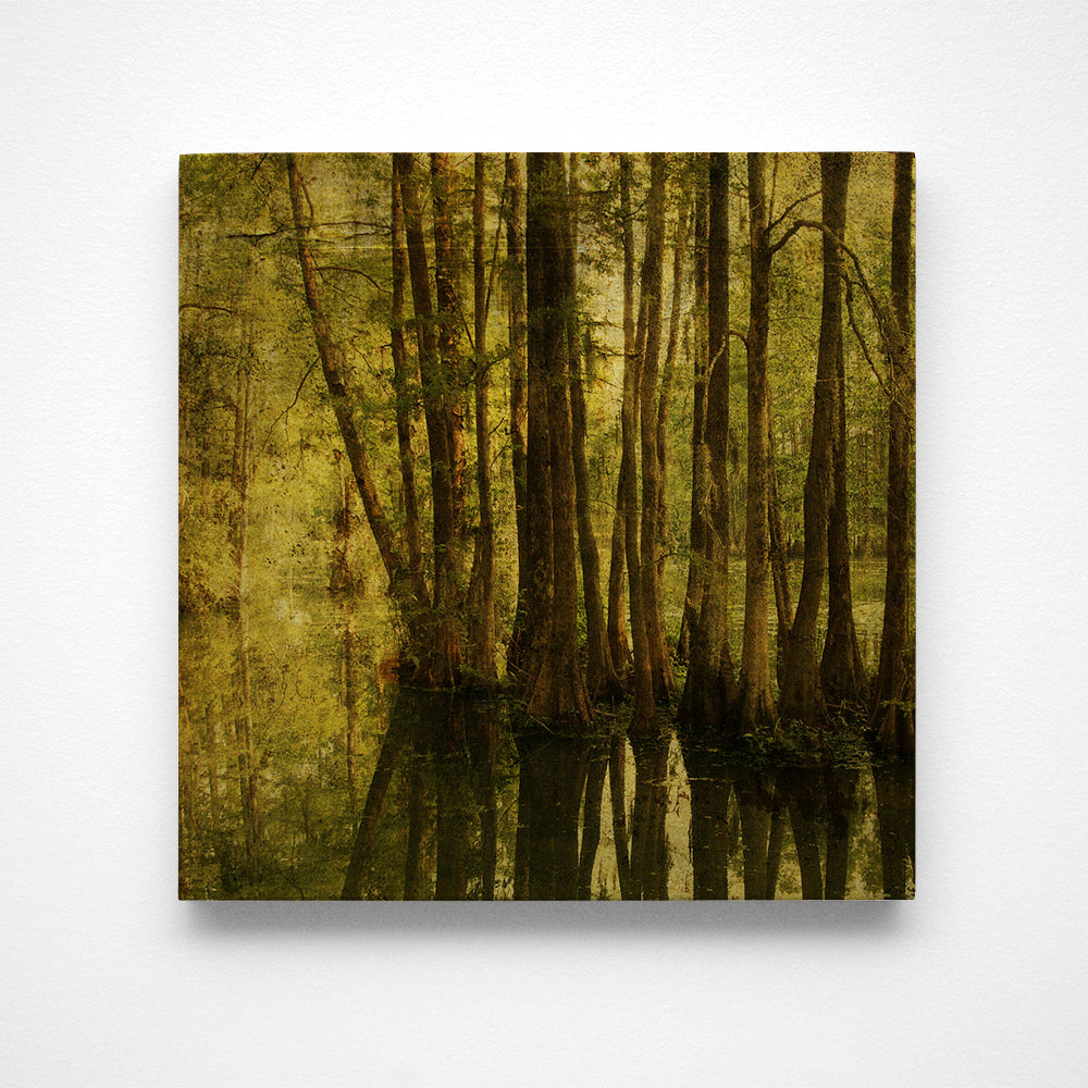 Greenfield Photograph Art Block or Box