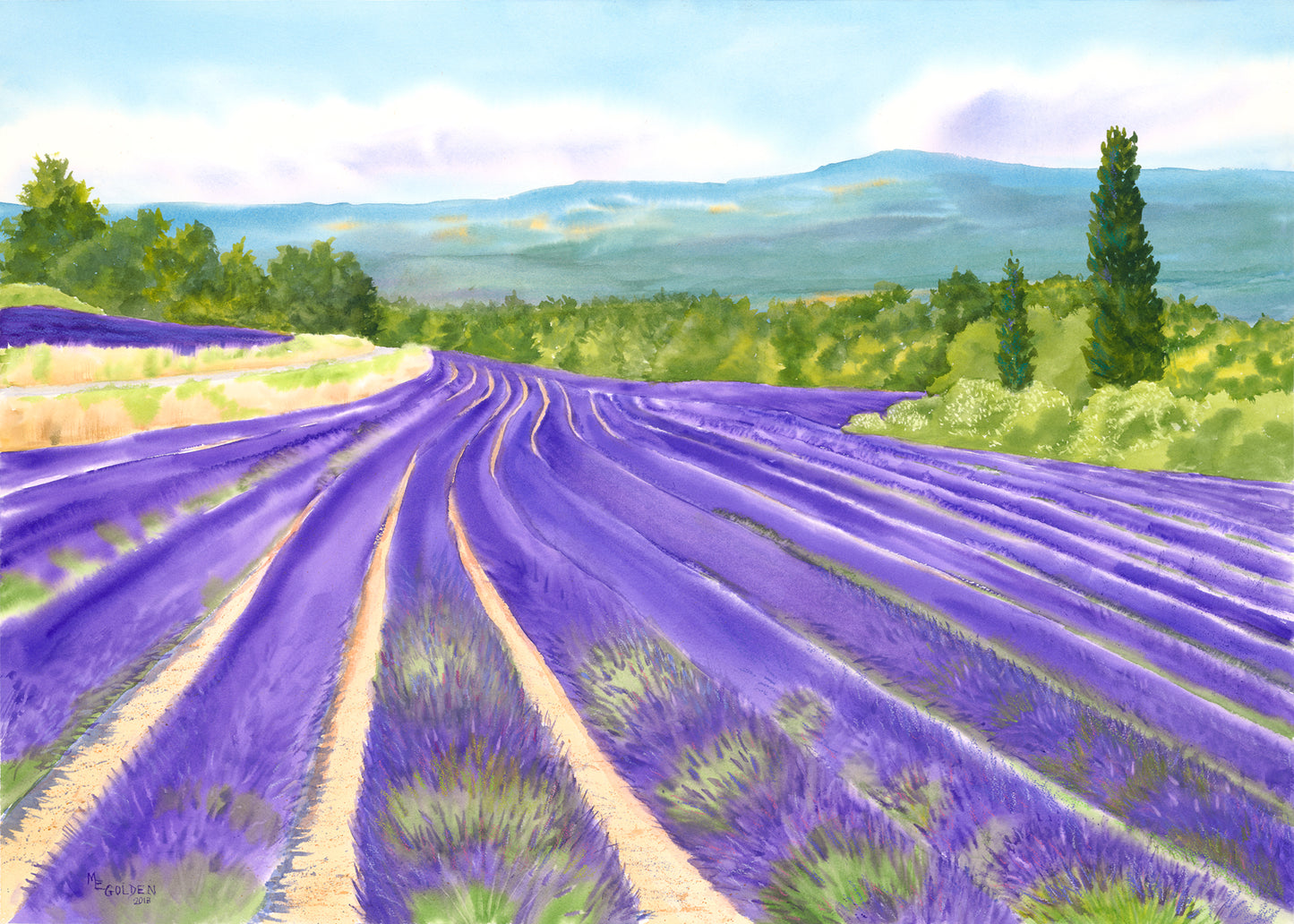 Rousillon Lavender Field Giclée Print