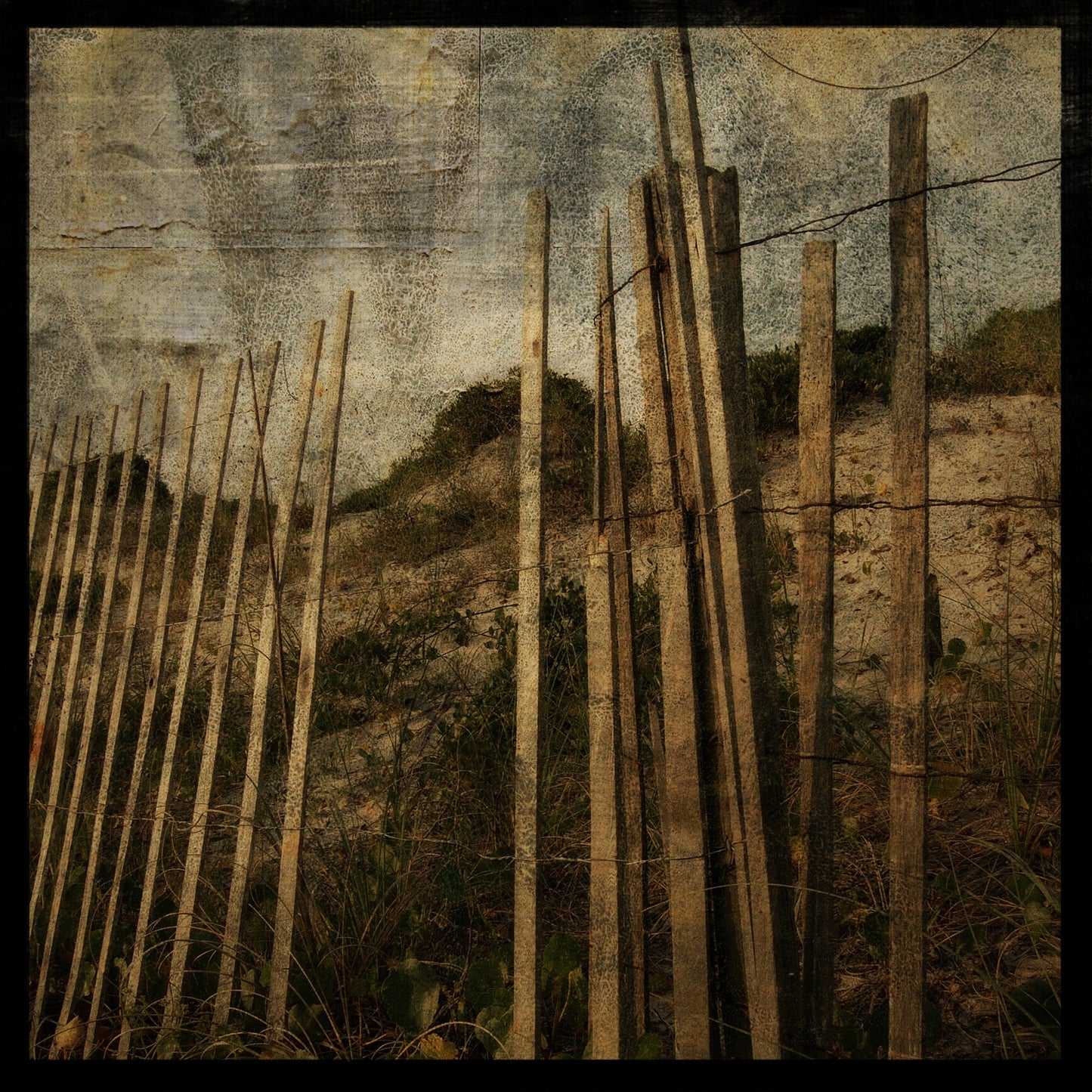Sand Fence No. 2 Photograph