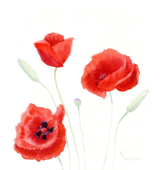 Three Poppies Giclée Print