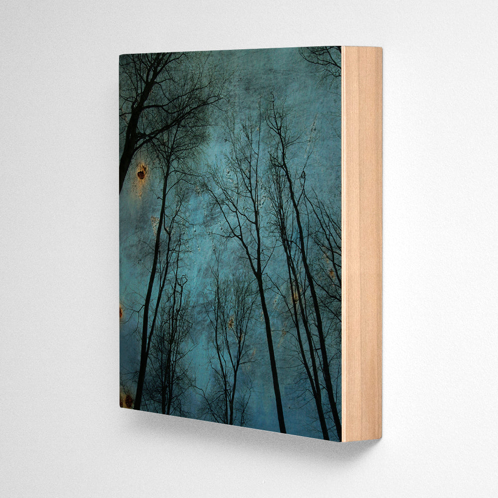 Alsace Trees No. 2 Photograph Art Block or Box