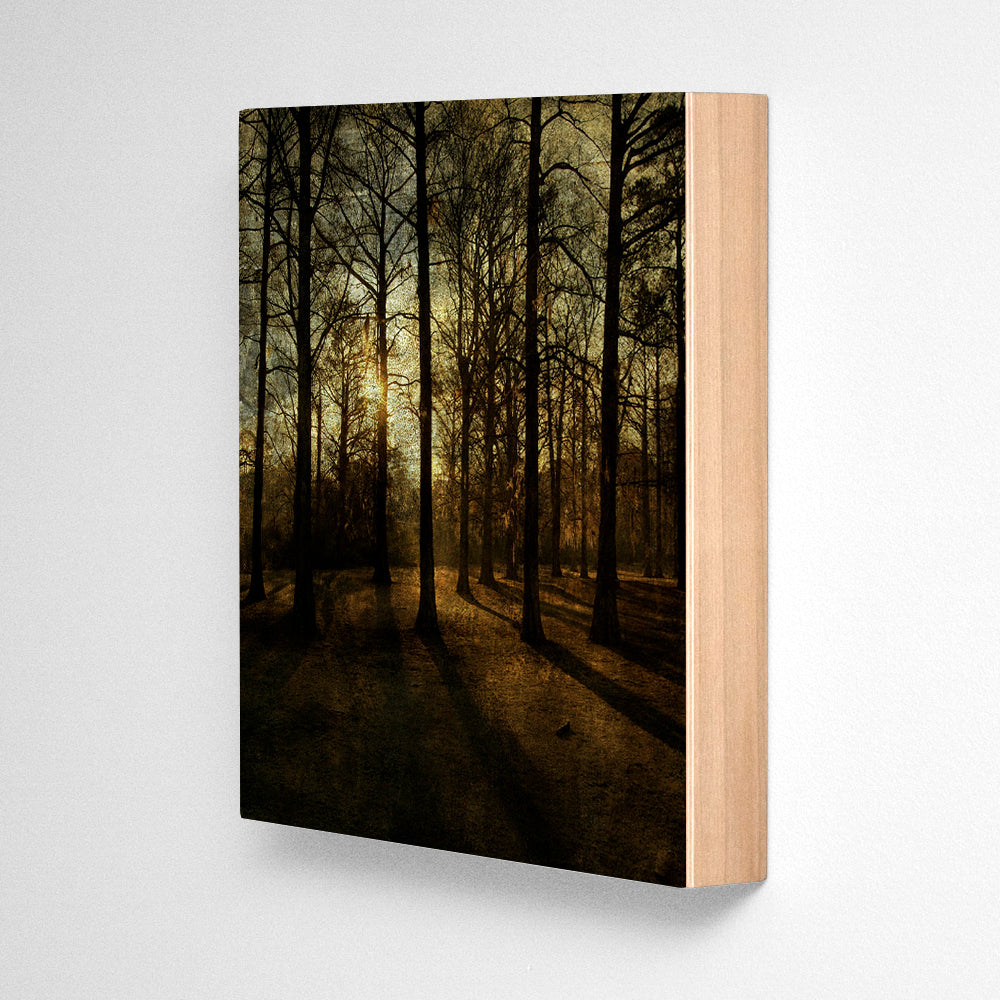 Assun Thru Cypress Photograph Art Block or Box