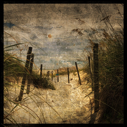 Beach Path No. 1 Photograph