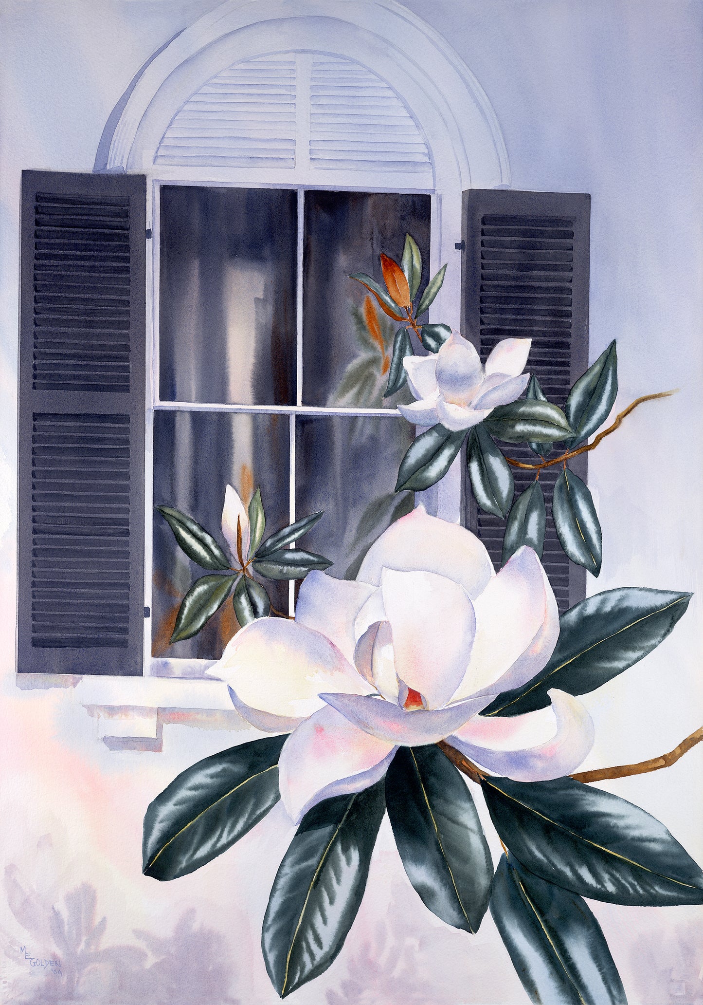 Bellamy Magnolia Giclée Print