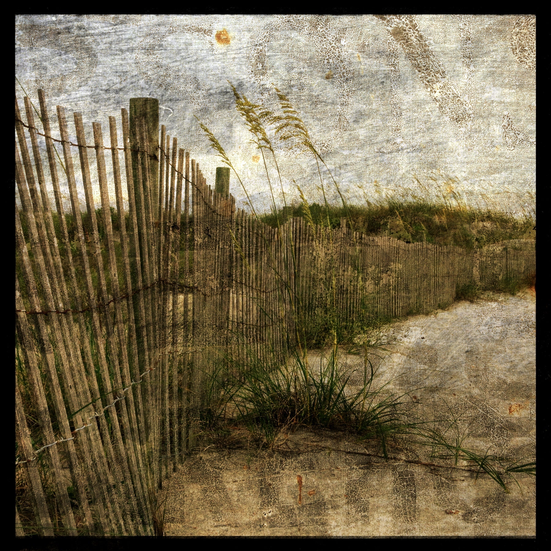 Fence Line No. 1 Photograph – thegoldengallerync