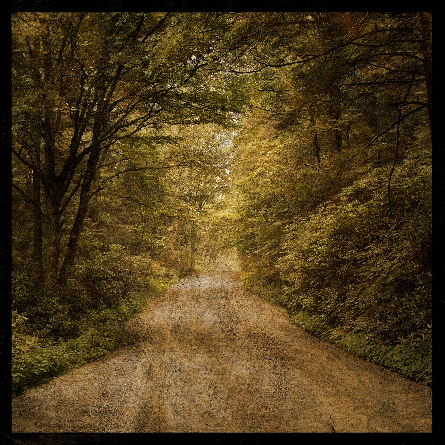 Flannery Fork Road Photograph