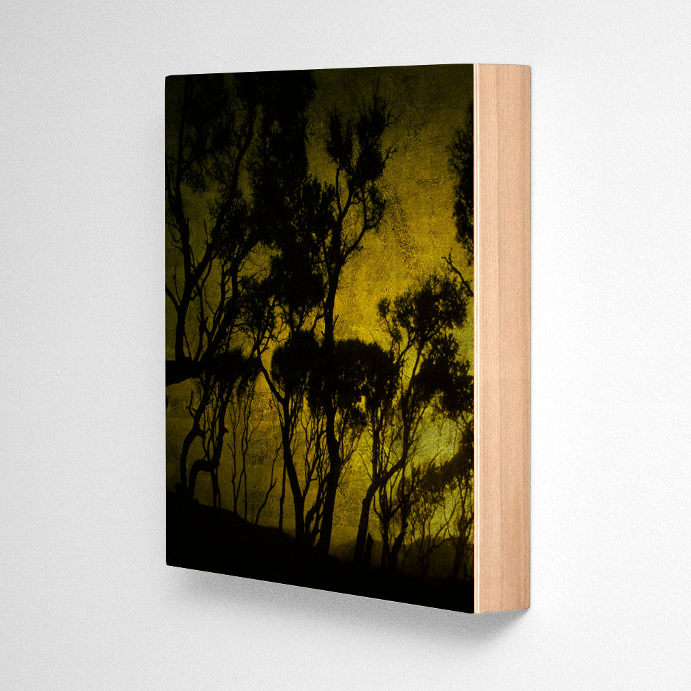 Fort Fisher Trees No. 4 Photograph Art Block or Box