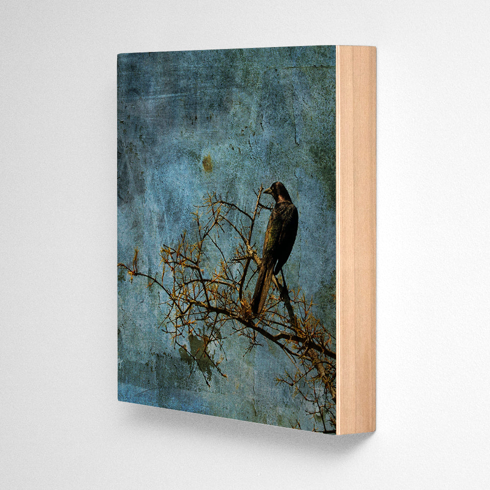 Grackle Photograph Art Block or Box