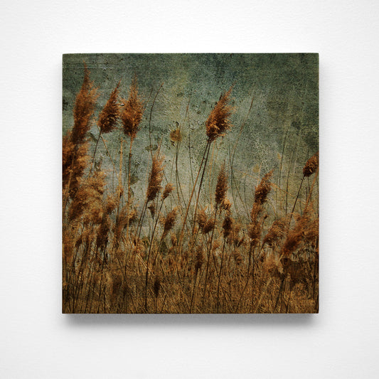 Grass Photograph Art Block or Box