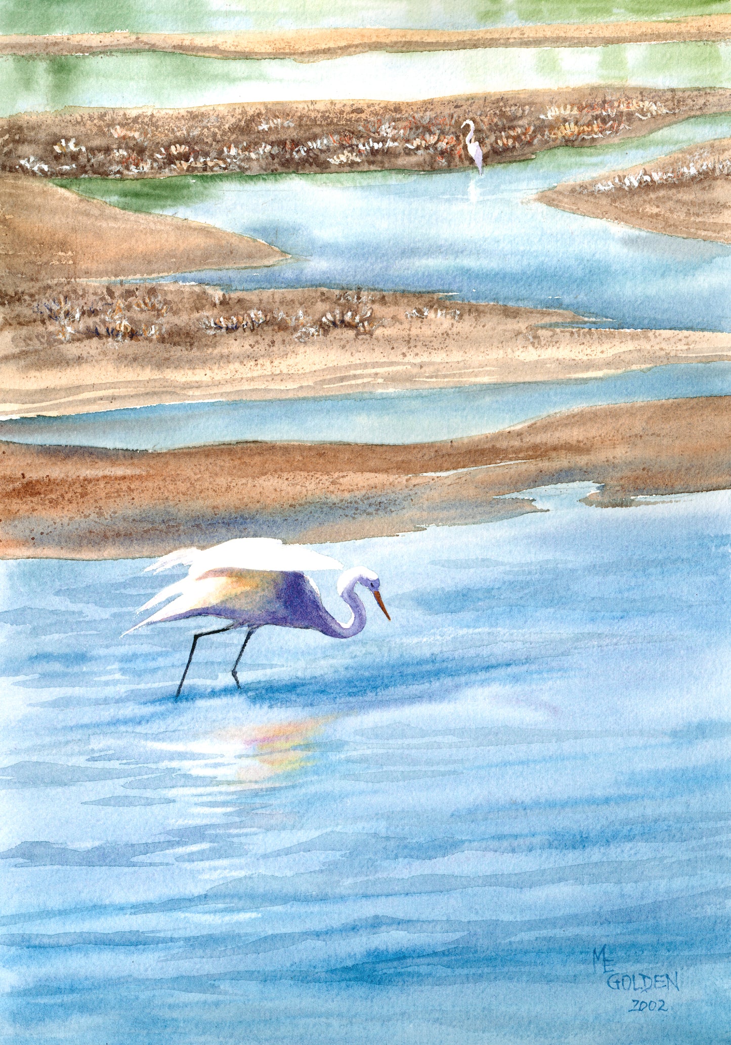 Great White Egrets Giclée Print