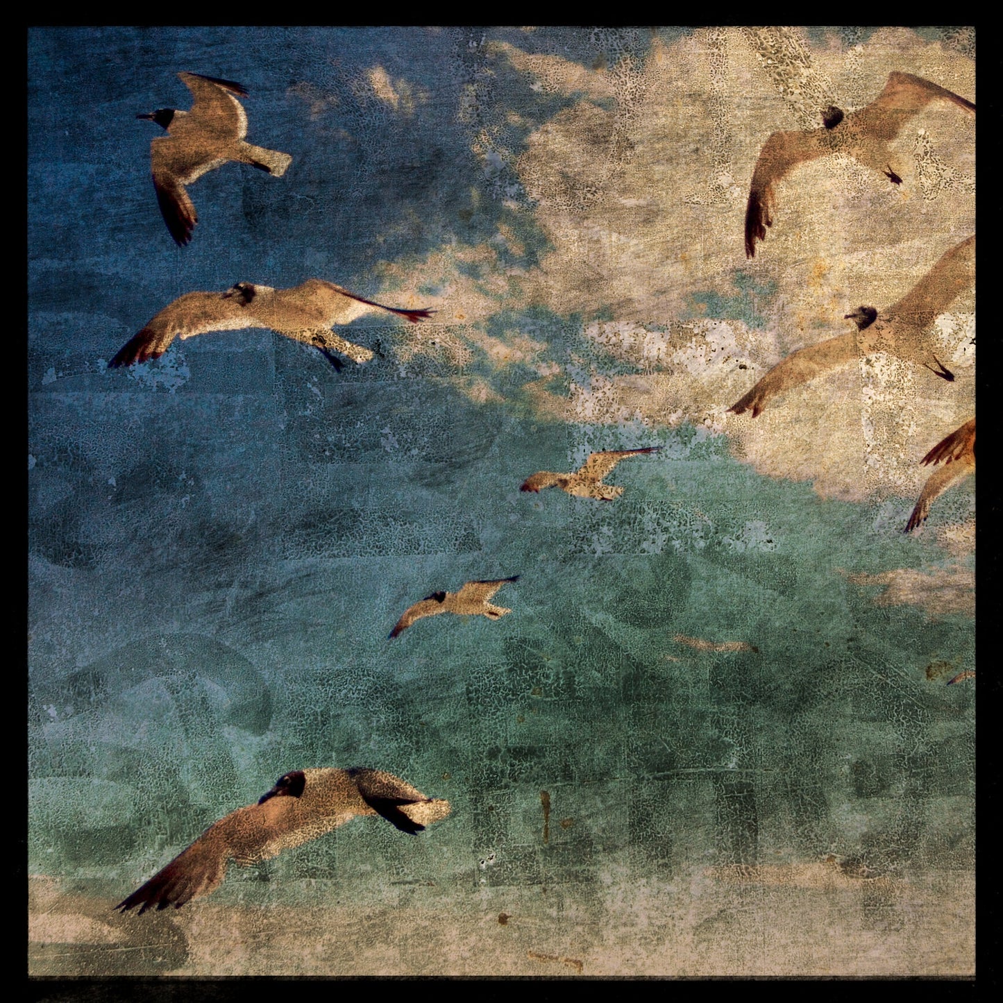 Gulls No. 1 Photograph