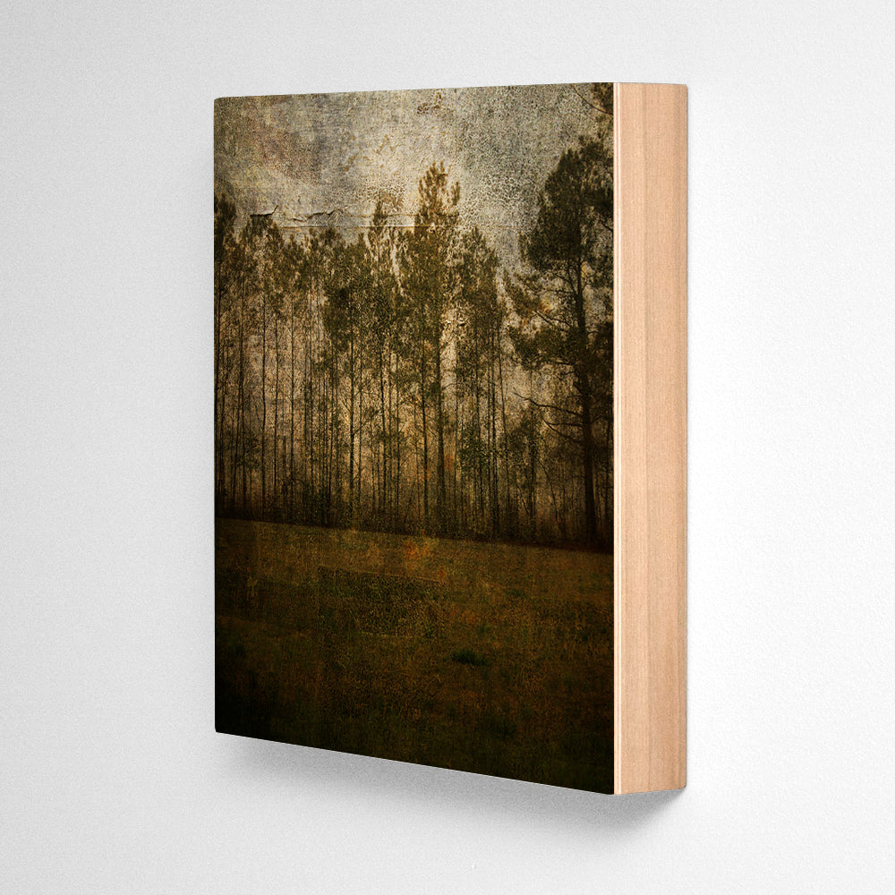 Line of Pines Photograph Art Block or Box