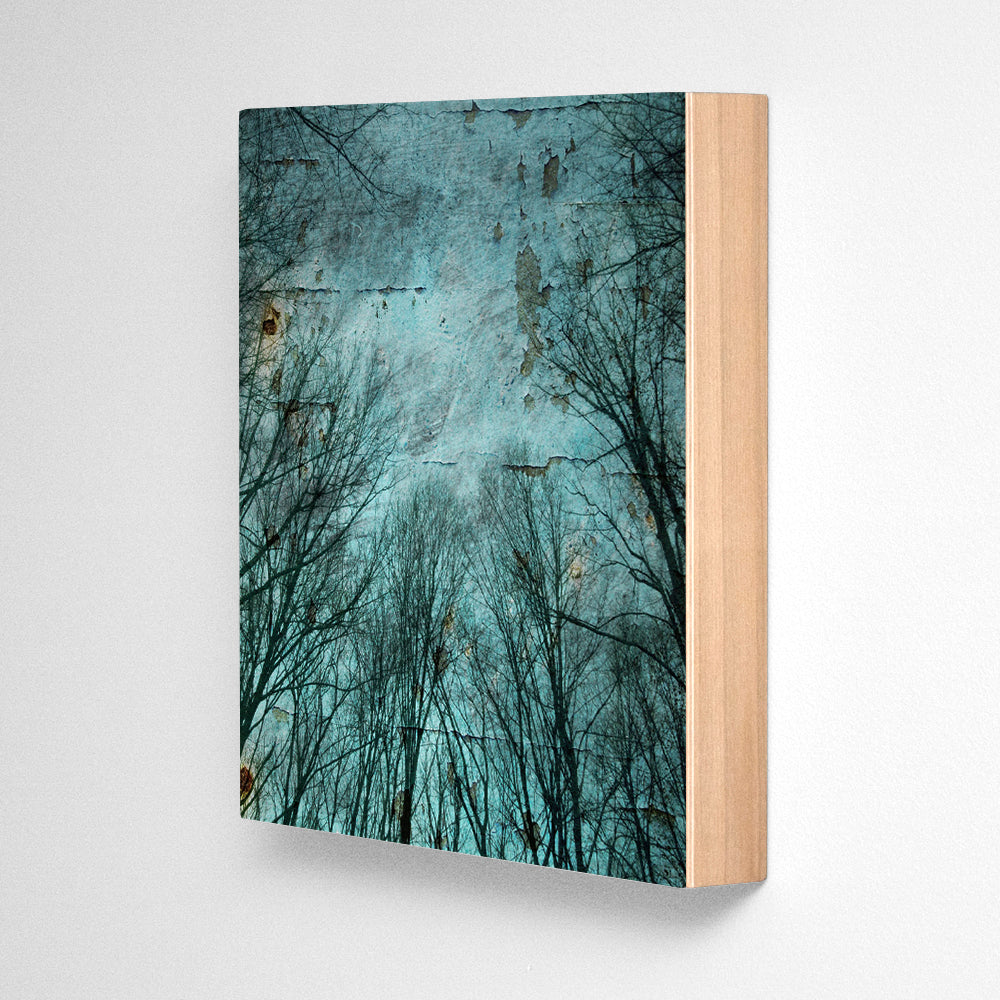 Mountain Trees Photograph Art Block or Box