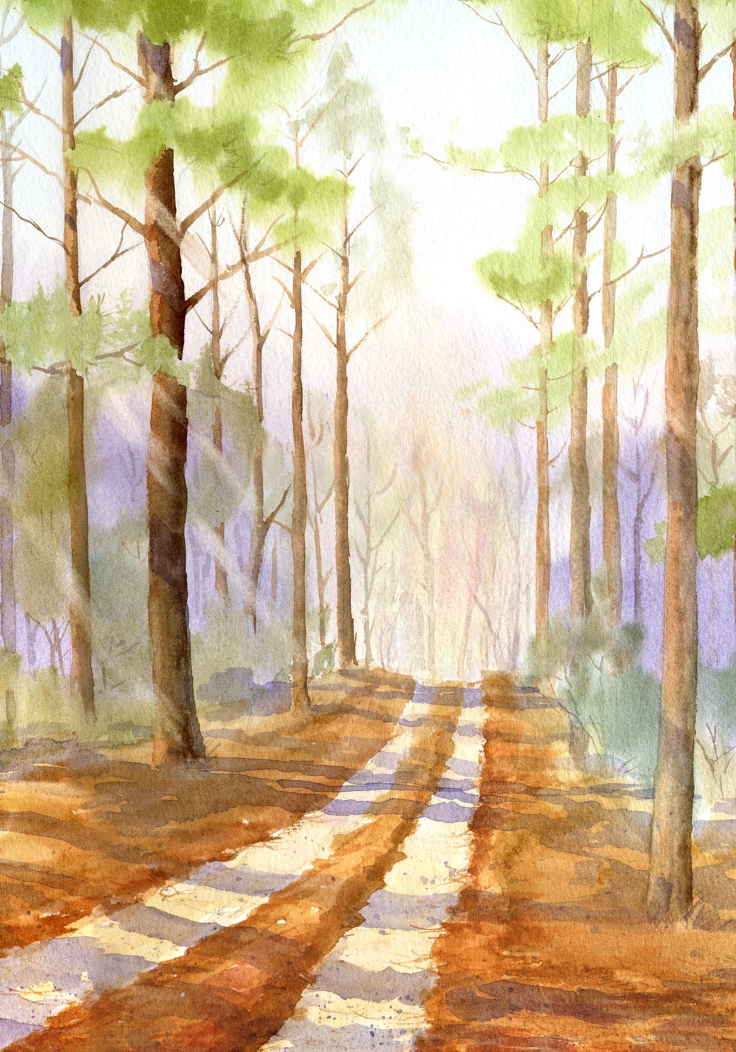 The Road Back Home Through a Pine Forest Giclée Print