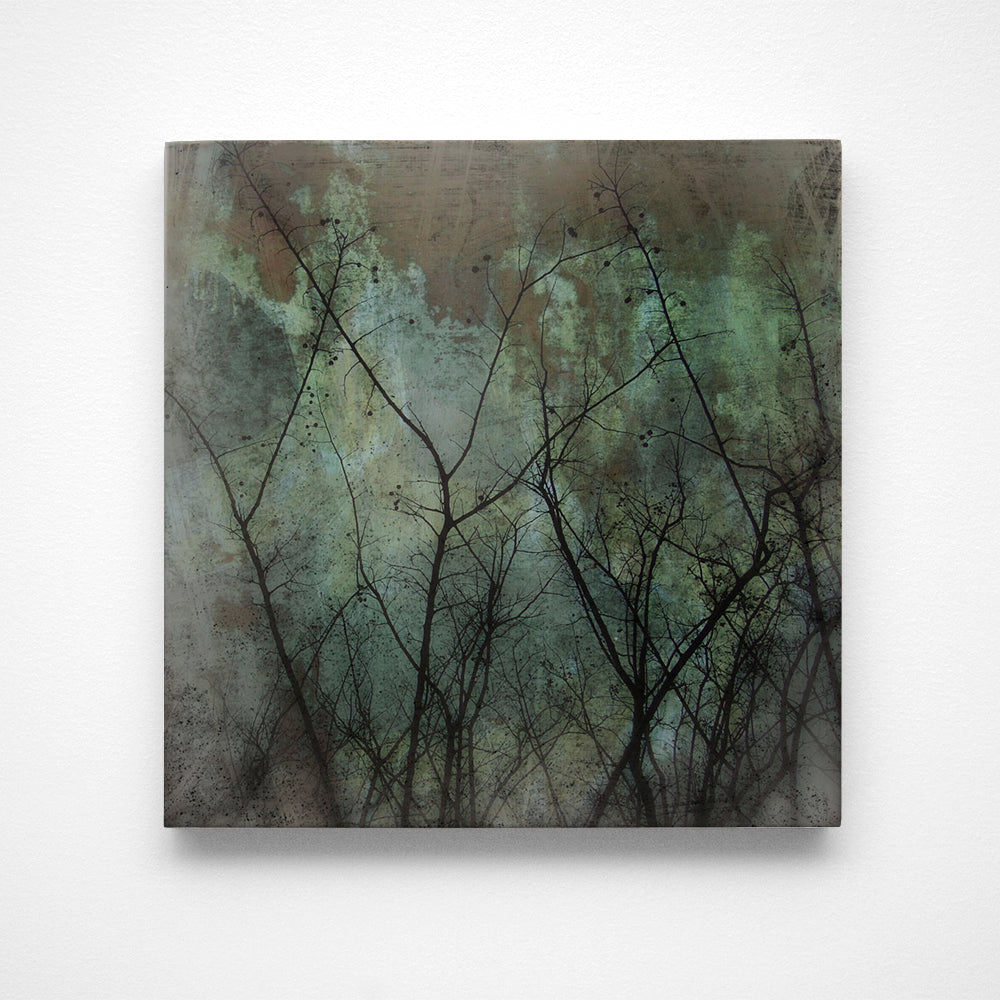 Myrtles on Copper Photograph Art Block or Box