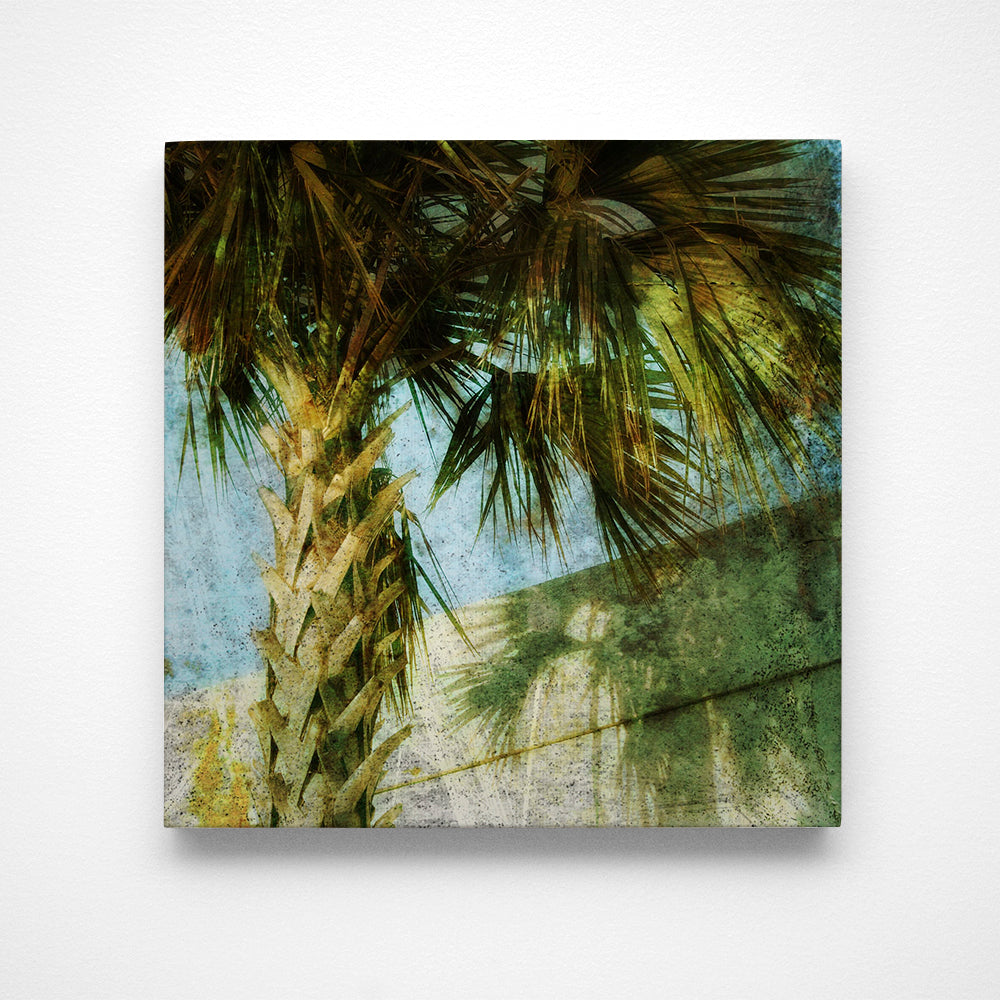 Palm No. 2 Photograph Art Block or Box