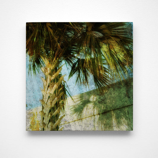 Palm No. 2 Photograph Art Block or Box