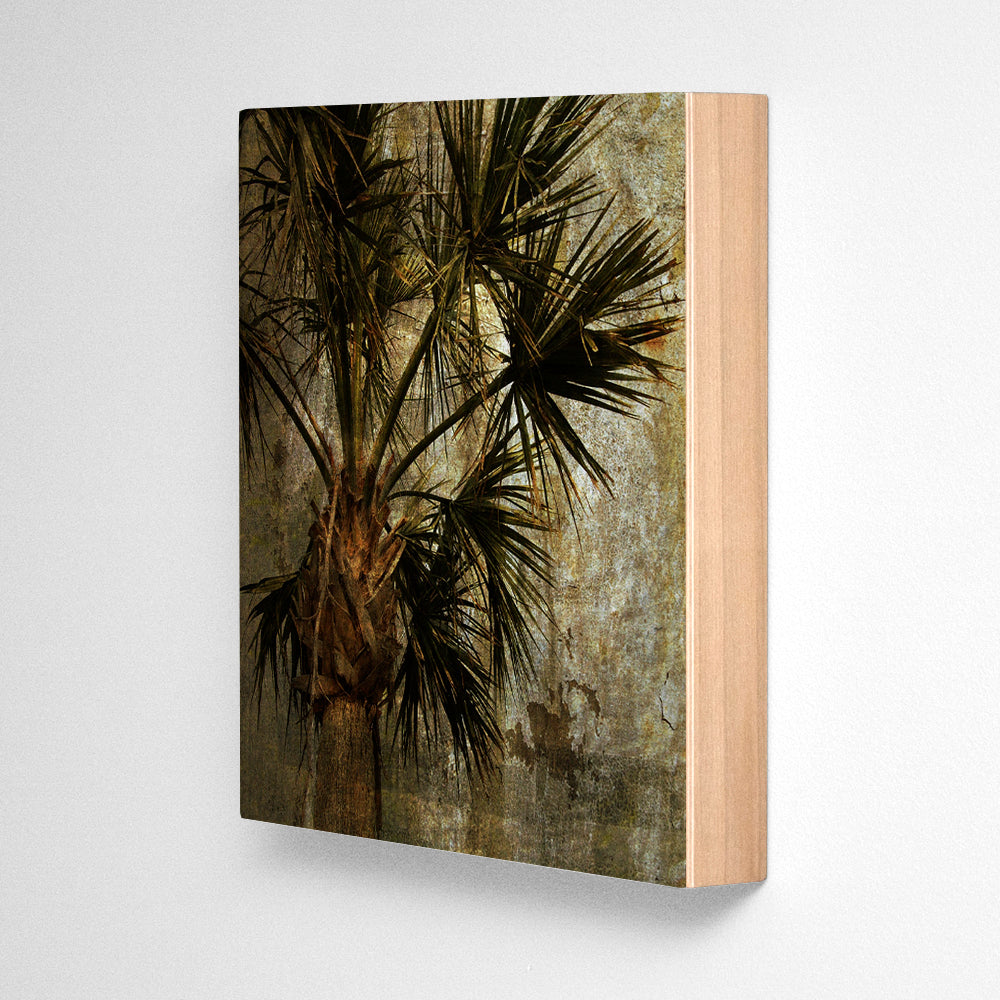 Palm No. 3 Photograph Art Block or Box