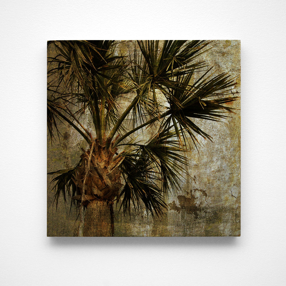 Palm No. 3 Photograph Art Block or Box