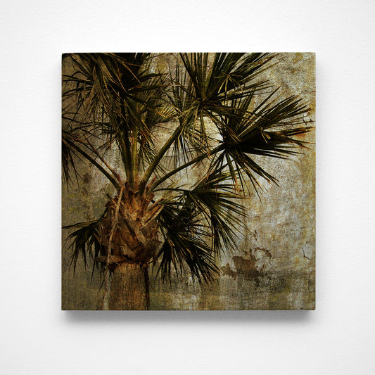 Palm No. 3 Photograph Art Block or Box