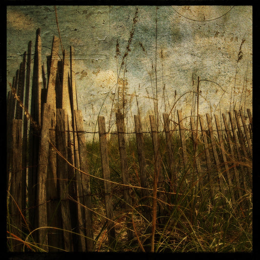 Sand Fence No. 1 Photograph