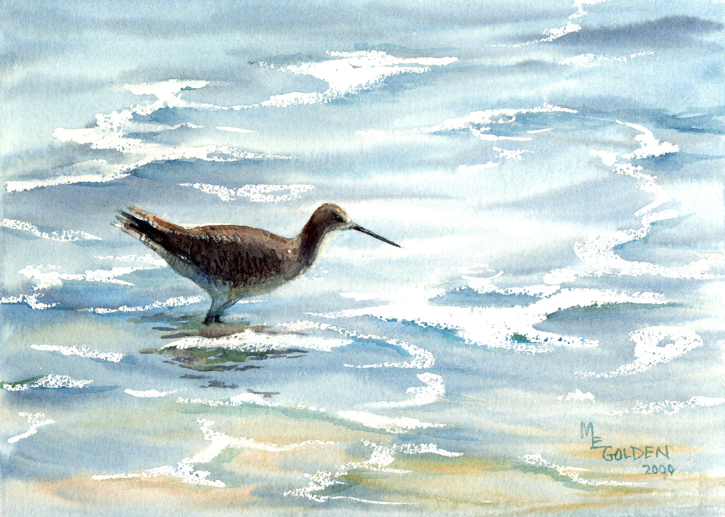 Sandpiper 4 Giclée Print