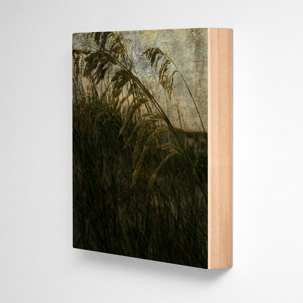 Sea Oats No. 1 Photograph Art Block or Box