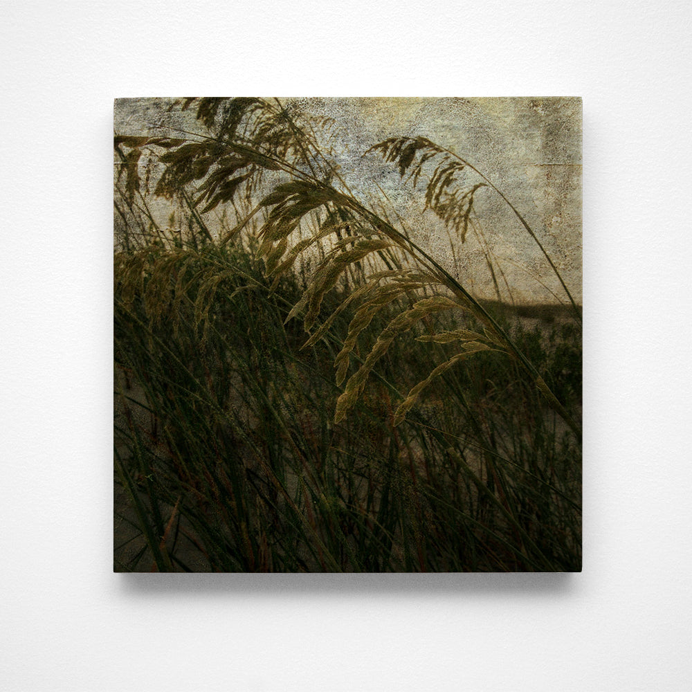 Sea Oats No. 1 Photograph Art Block or Box