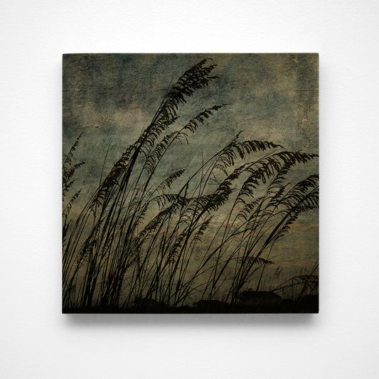 Sea Oats No. 3 Photograph Art Block or Box