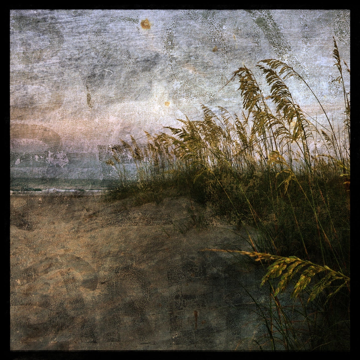 Sea Oats No. 2 Photograph