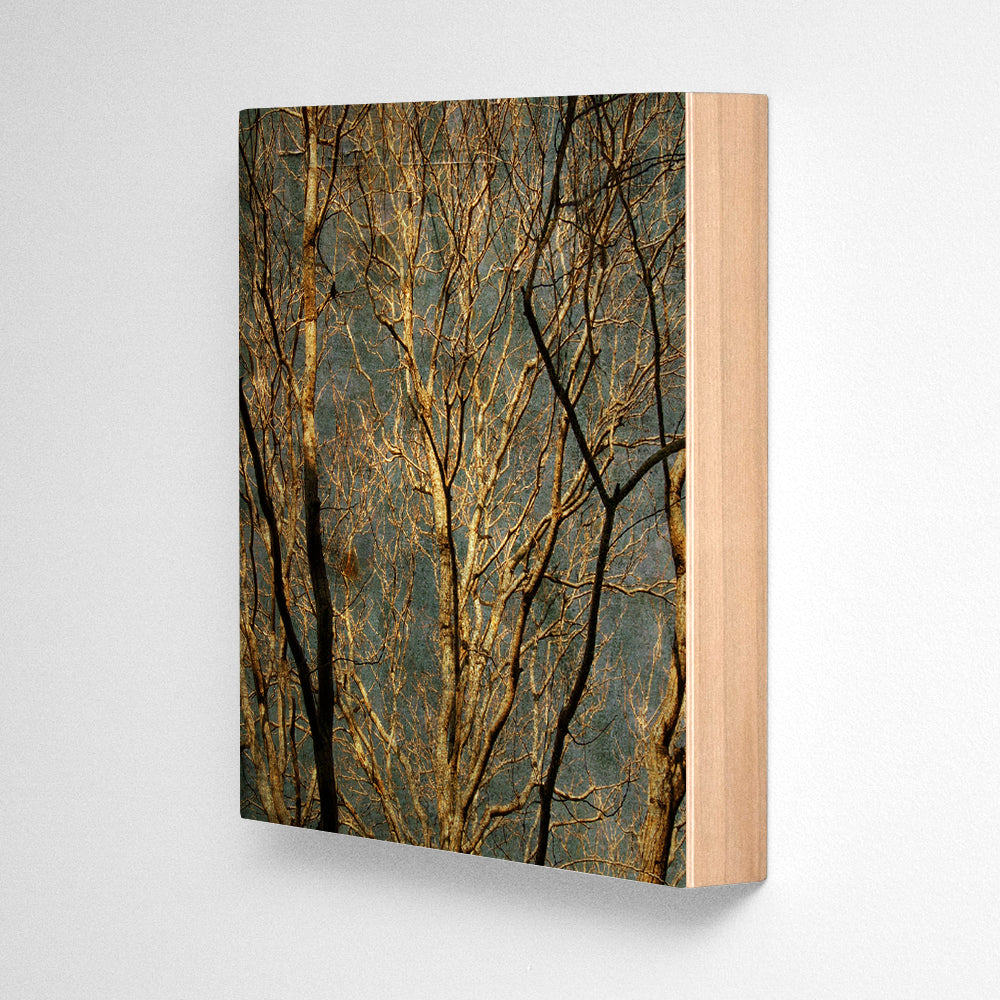 Winter Branches Photograph Art Block or Box