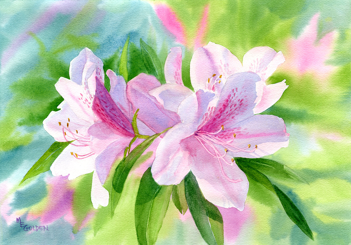 Azalea 2 Giclée Print