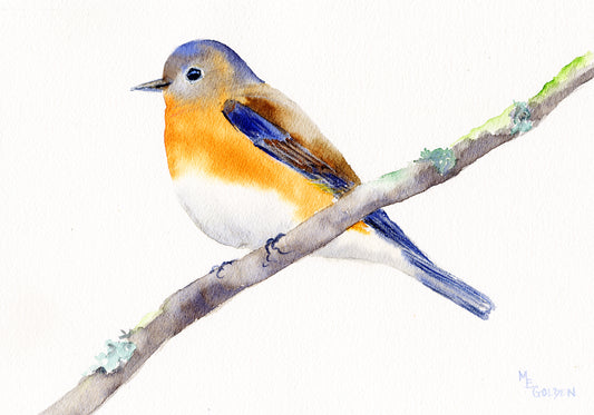 Bluebird Giclée Print