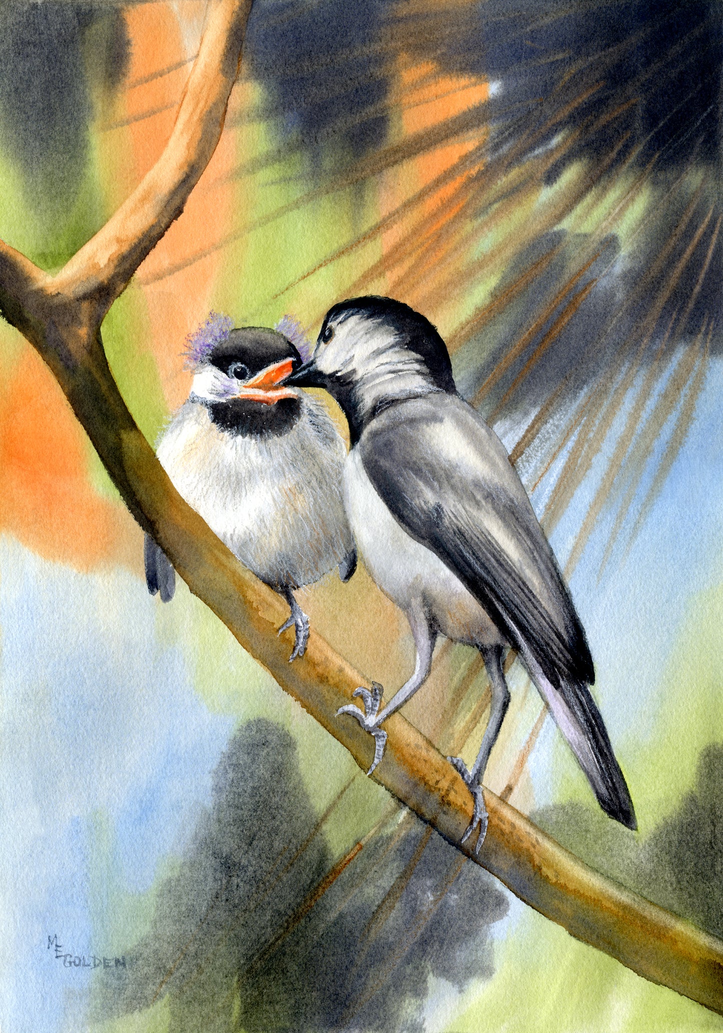 Chickadee 2 Giclée Print