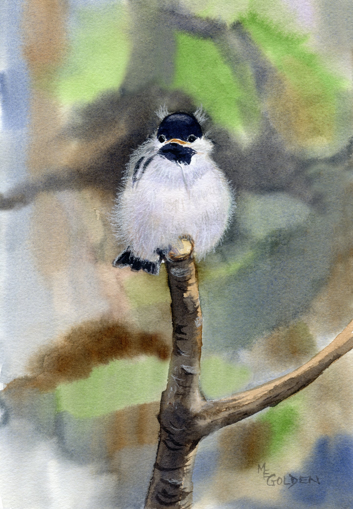 Chickadee Giclée Print