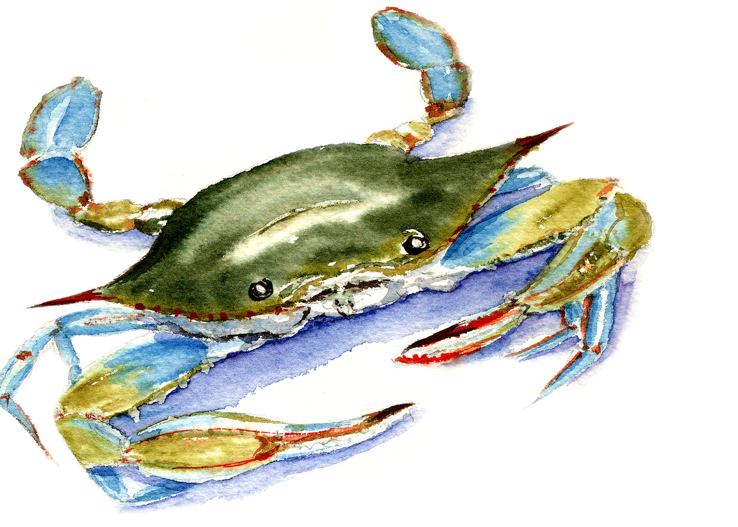 Crabby Giclée Print