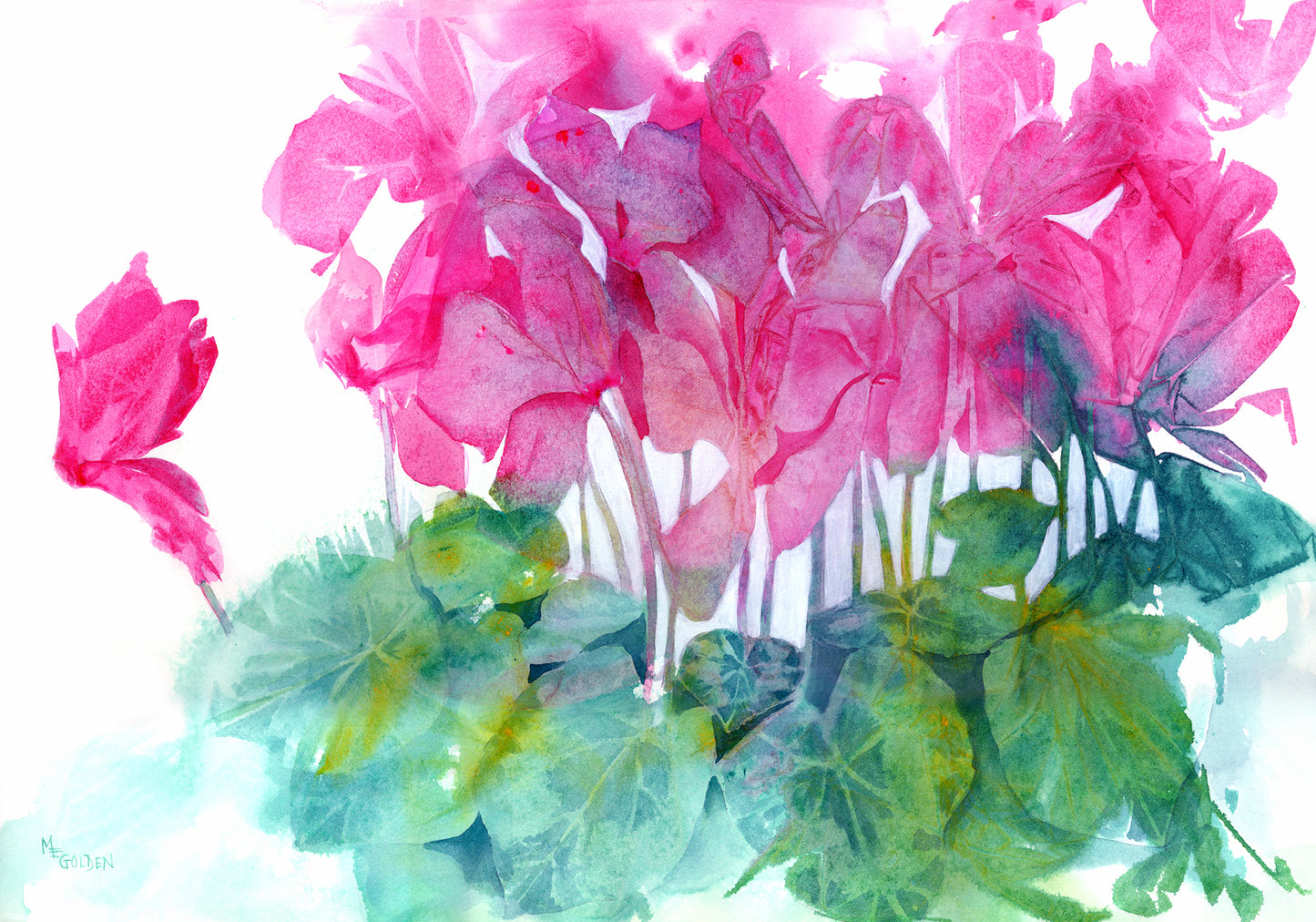 Dance of the Cyclamen Giclée Print