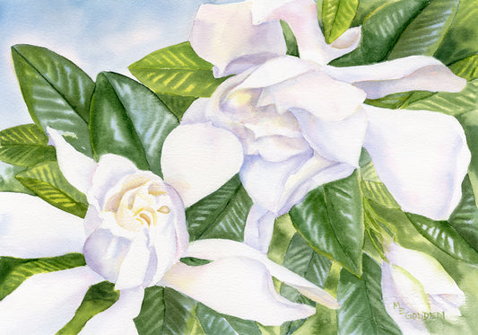 Gardenias Giclée Print