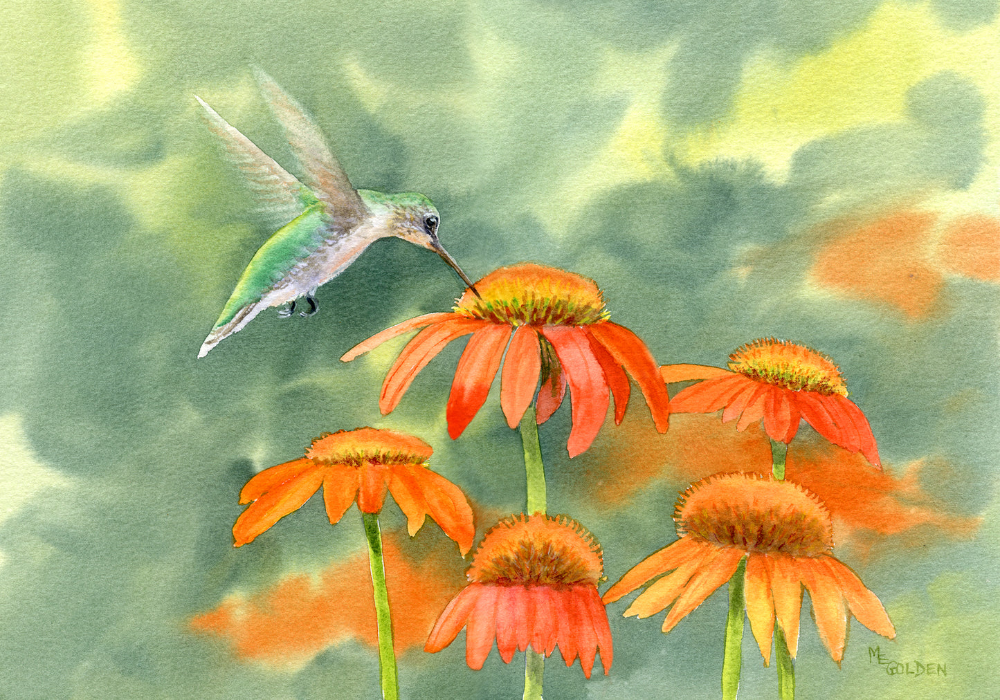 Hummingbird Giclée Print