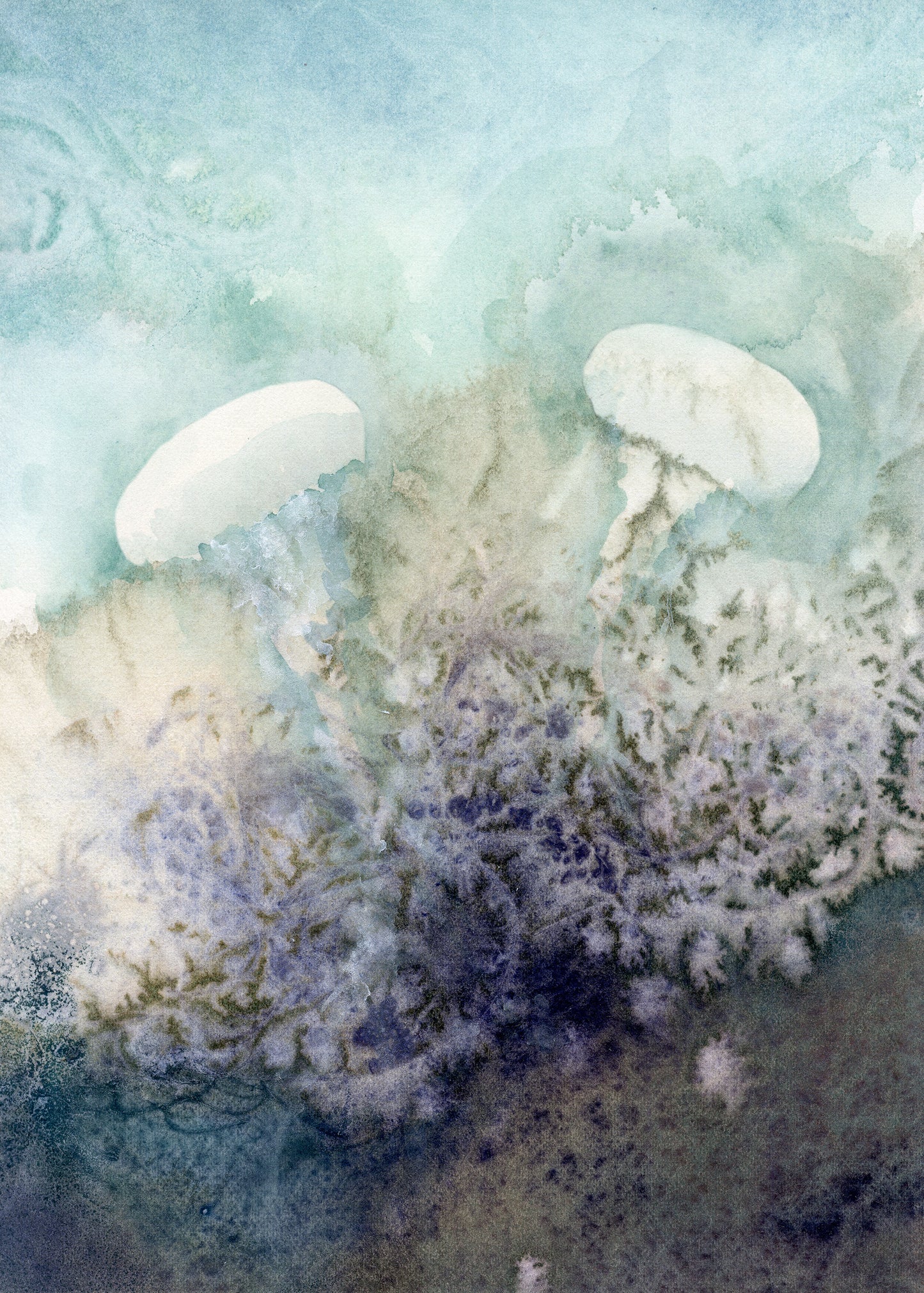 Jellyfish 3 Giclée Print