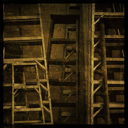 Ladders Photograph