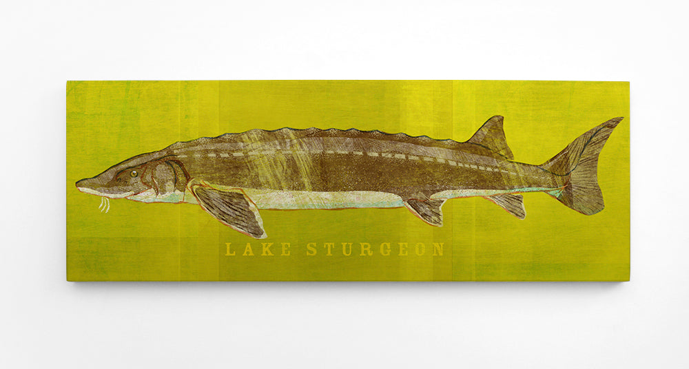 Freshwater Fish Art Block - Pick the Fish and Size