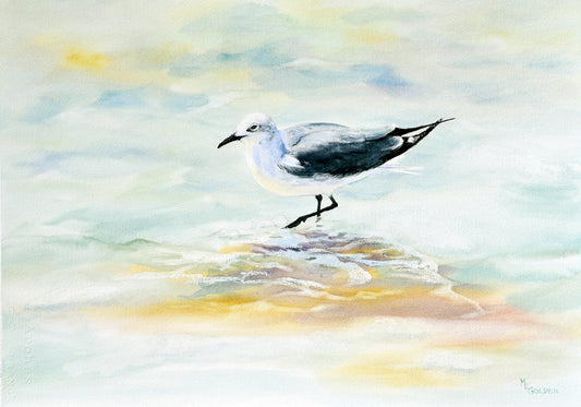 Lone Gull Giclée Print