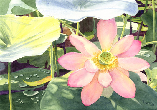 Lotus Giclée Print