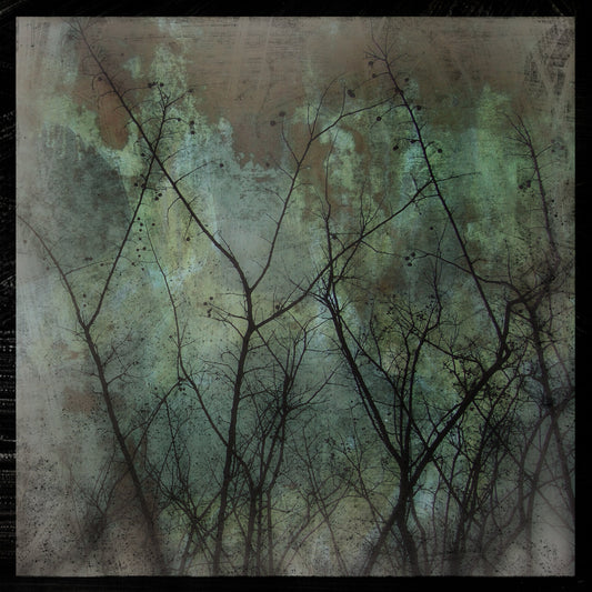 Myrtles on Copper Photograph