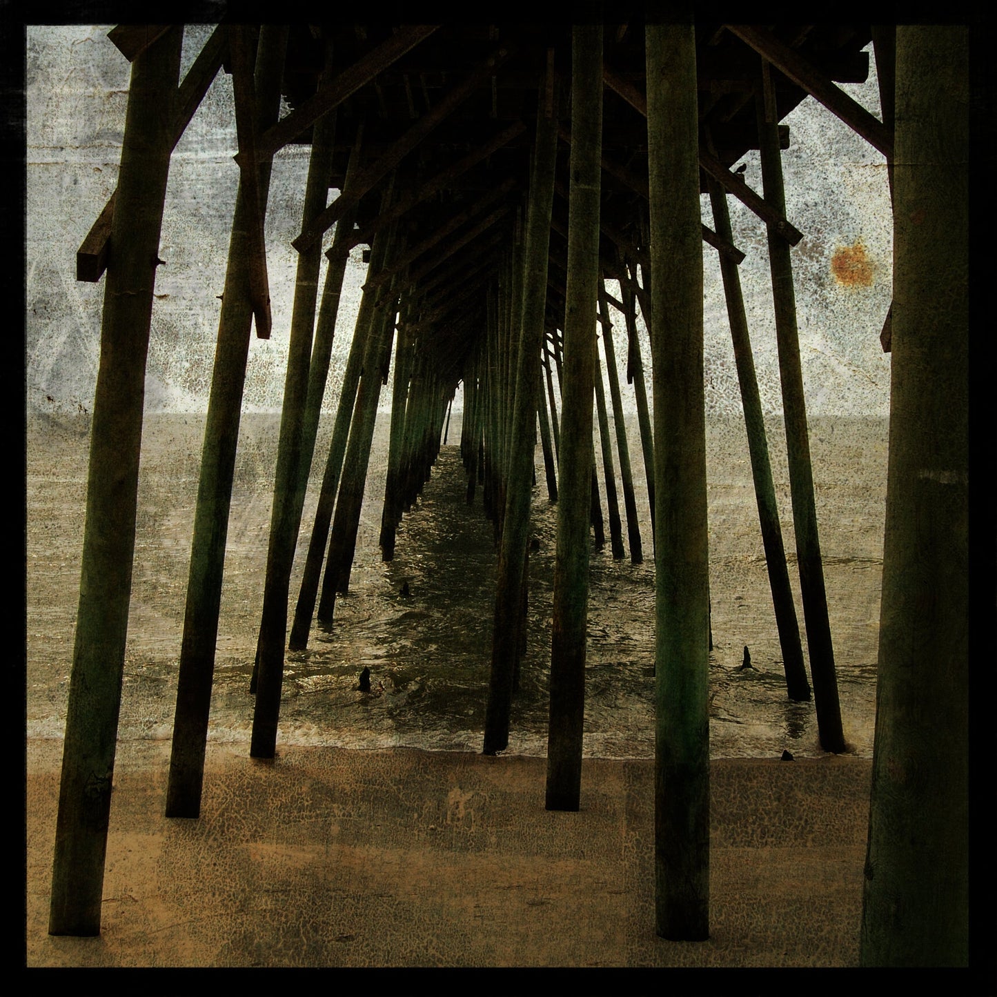 Ocean Pier No. 4 Photograph