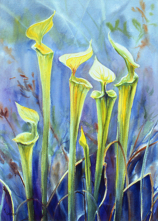 Pitcher Plant Giclée Print