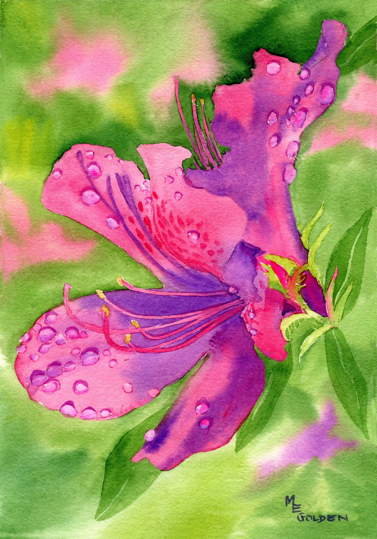 Raindrops Giclée Print