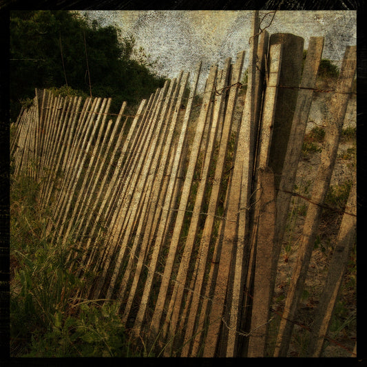 Sand Fence No. 3 Photograph